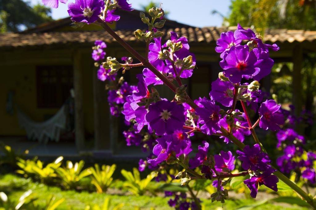 Pousada Casinhas Da Bahia Caraíva Екстериор снимка